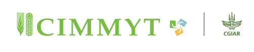 KENYA - CIMMYT